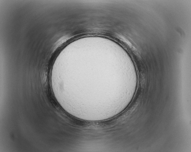 X0000116661259201001041103