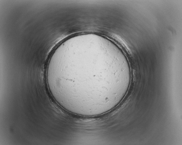 X0000116661260201001041103