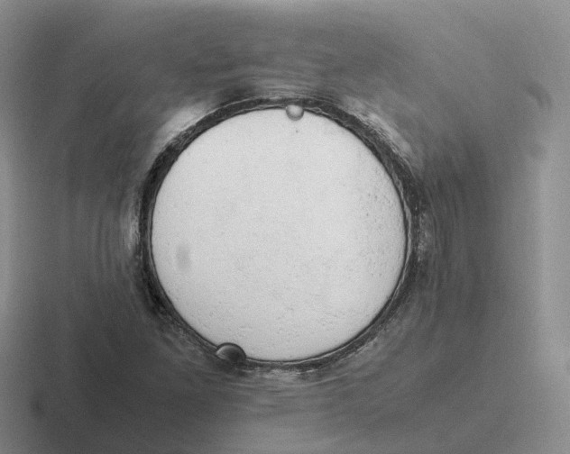 X0000116661261201001041103