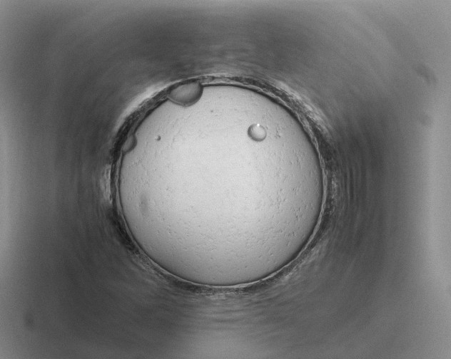 X0000116661262201001041103