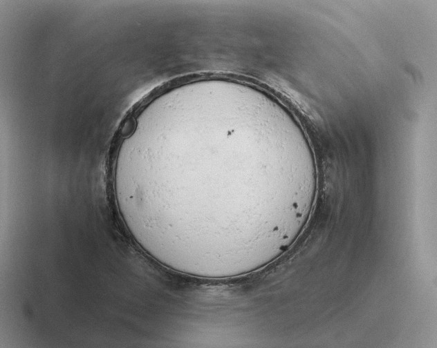 X0000116661264201001041103