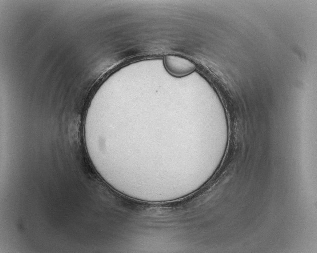 X0000116661265201001041103