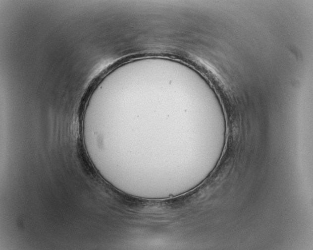 X0000116661267201001041103