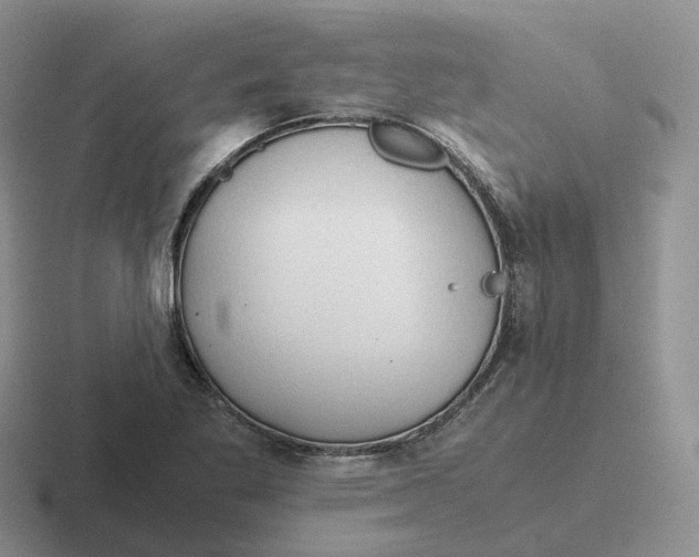 X0000116661269201001041103