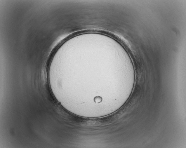 X0000116661271201001041103