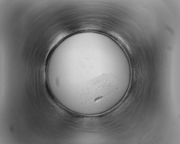 X0000116661274201001041103