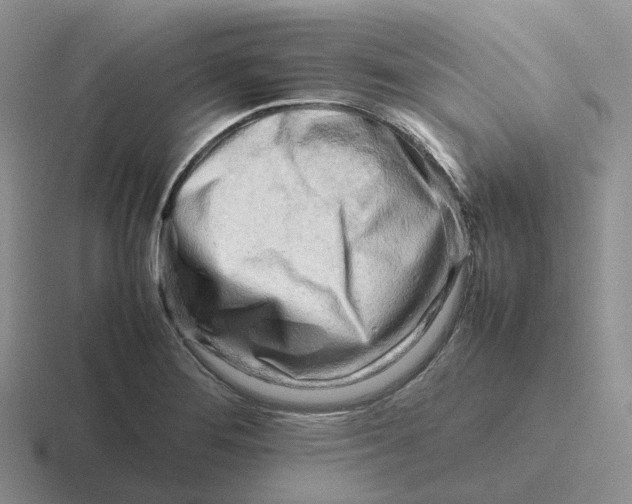 X0000116661276201001041103