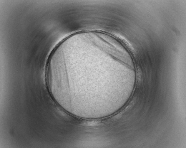 X0000116661278201001041103