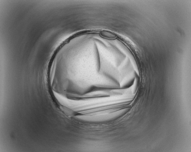 X0000116661279201001041103