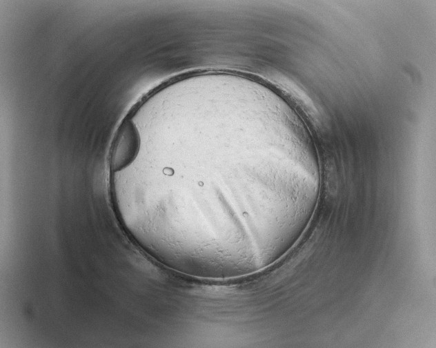 X0000116661280201001041103