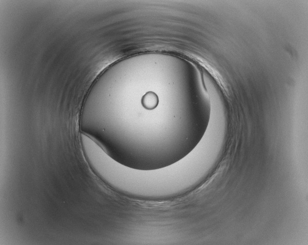 X0000116661281201001041103