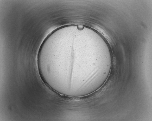 X0000116661283201001041103