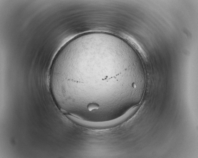 X0000116661284201001041103