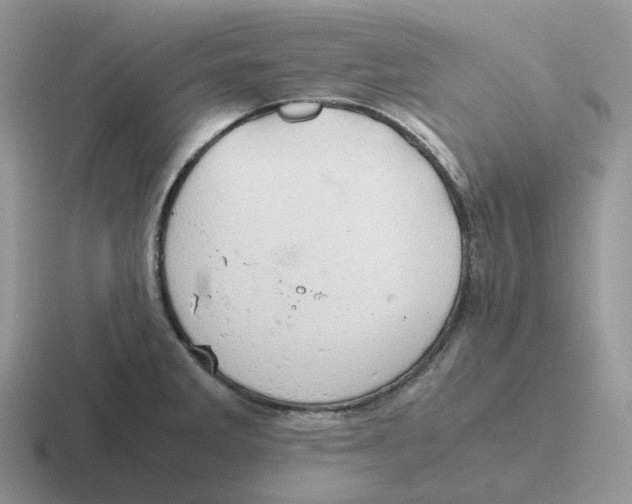 X0000116661285201001041103