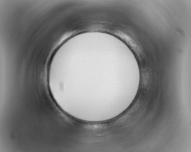 X0000116661286201001041103