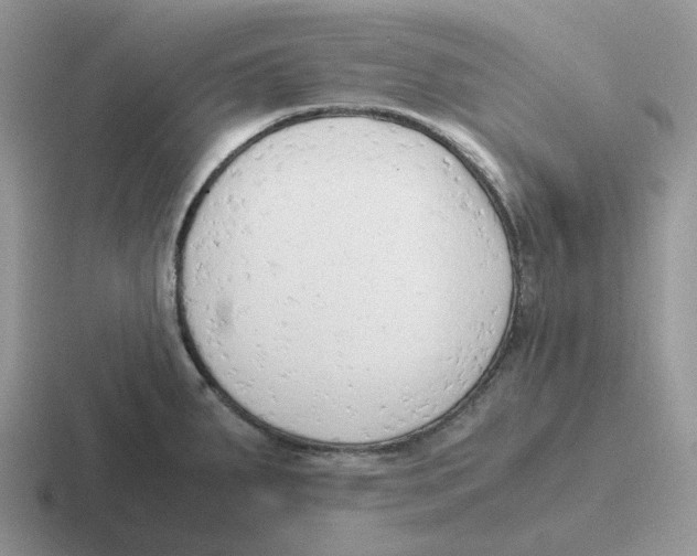 X0000116661287201001041103