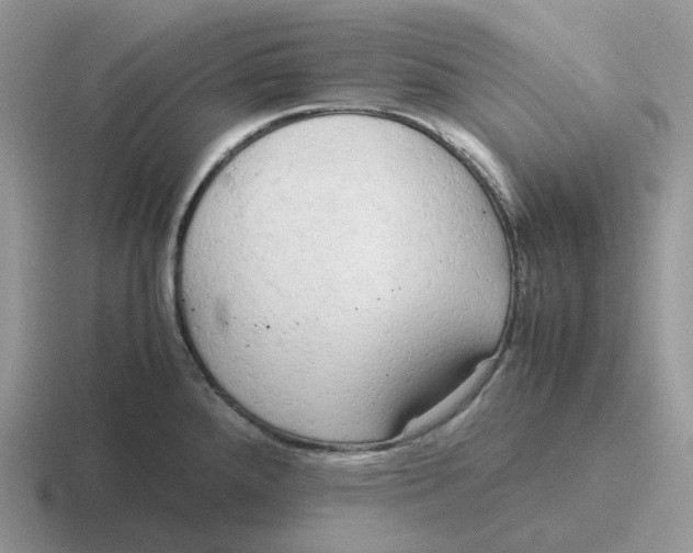 X0000116661288201001041103