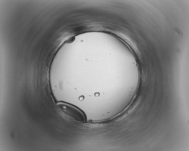 X0000116661289201001041103