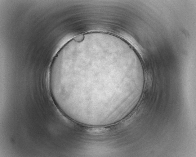 X0000116661290201001041103