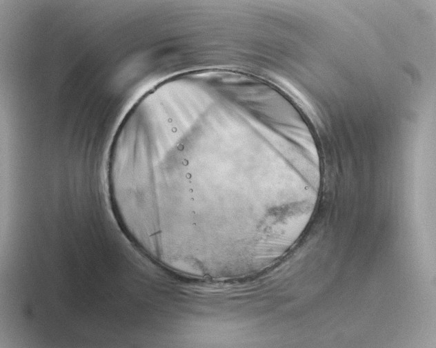 X0000116661291201001041103