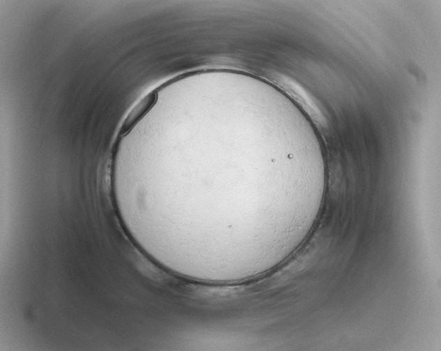 X0000116661292201001041103