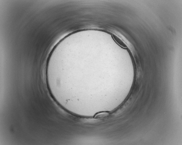 X0000116661293201001041103