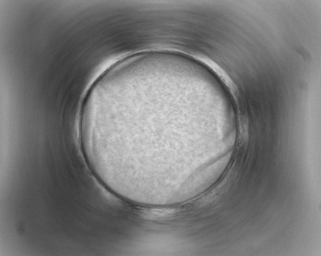 X0000116661294201001041103