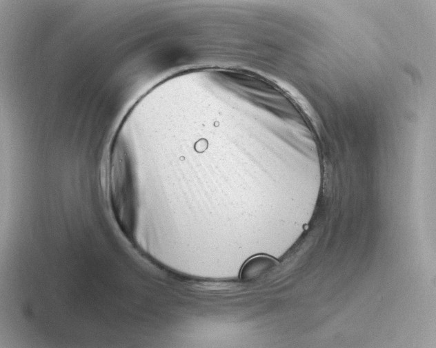 X0000116661295201001041102