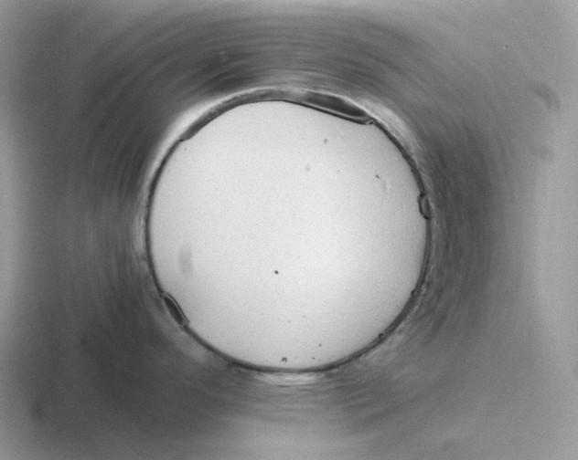 X0000116661296201001041102