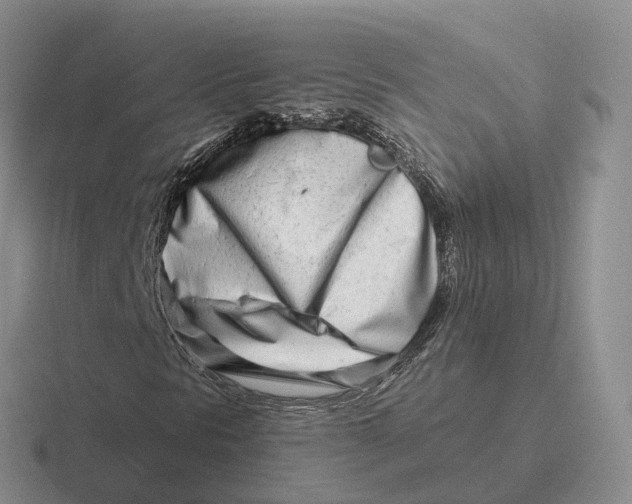 X0000116661297201001041102