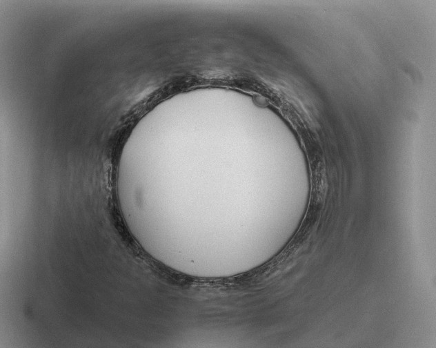 X0000116661301201001041102