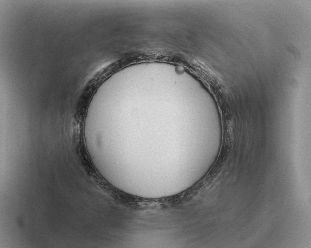 X0000116661302201001041102