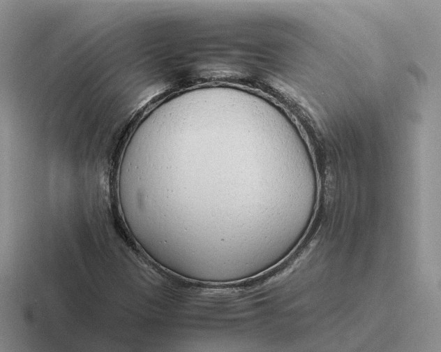 X0000116661305201001041102