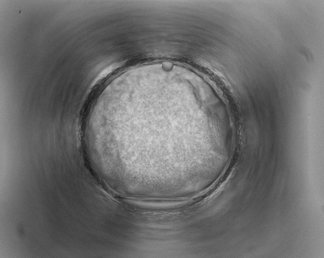 X0000116661306201001041102