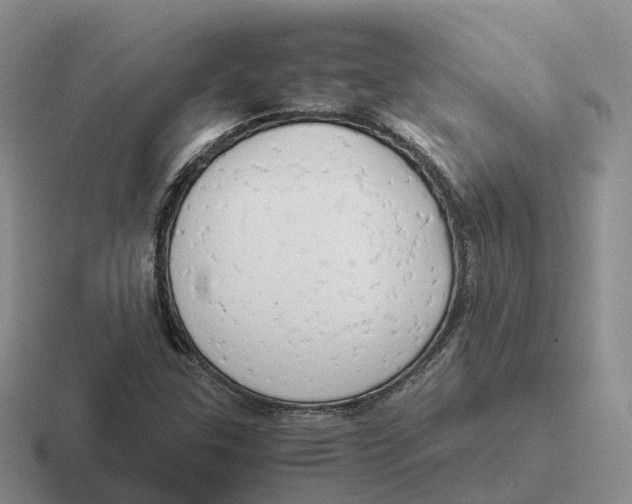 X0000116661307201001041102