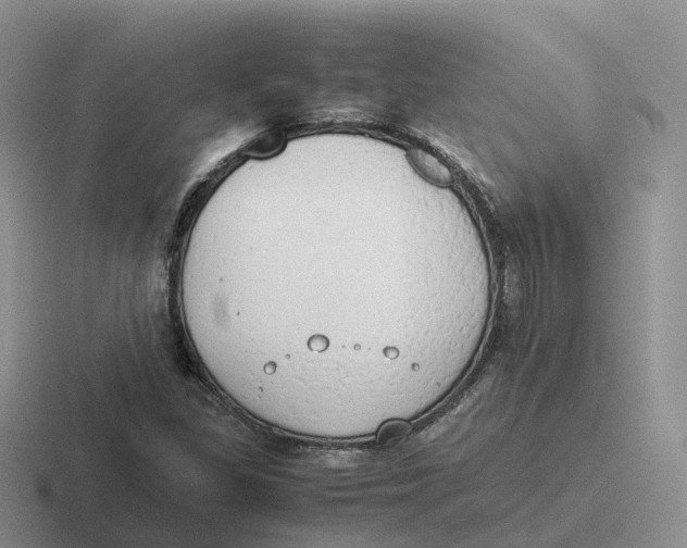 X0000116661309201001041102