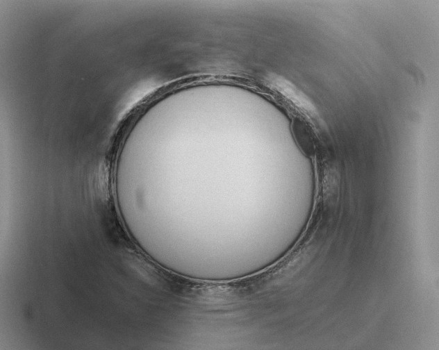 X0000116661310201001041102