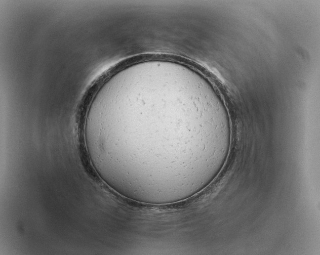 X0000116661311201001041102