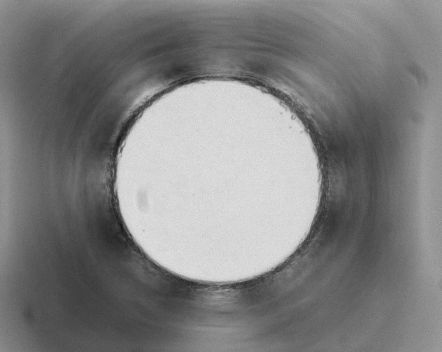 X0000116661314201001041102