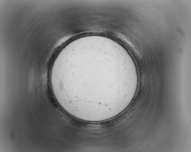 X0000116661315201001041102