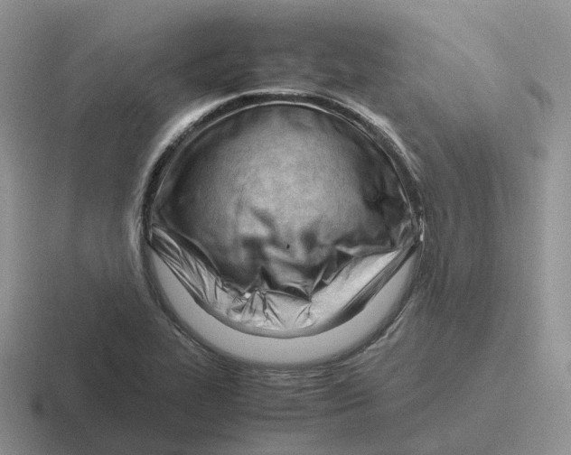 X0000116661319201001041102