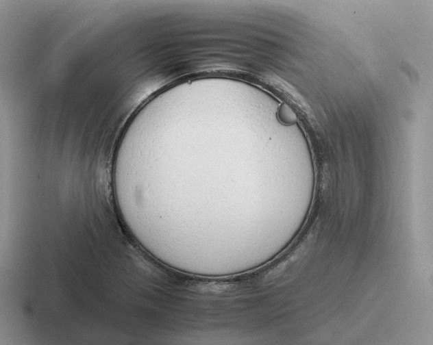 X0000116661321201001041102