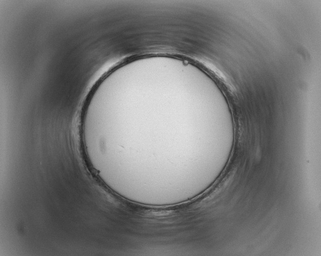 X0000116661325201001041102