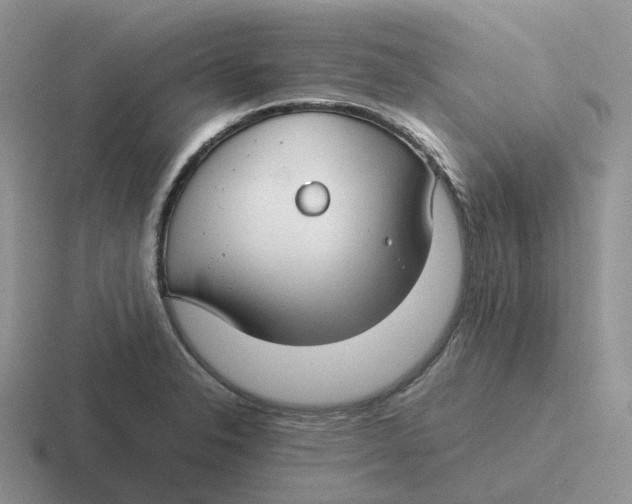 X0000116661326201001041102