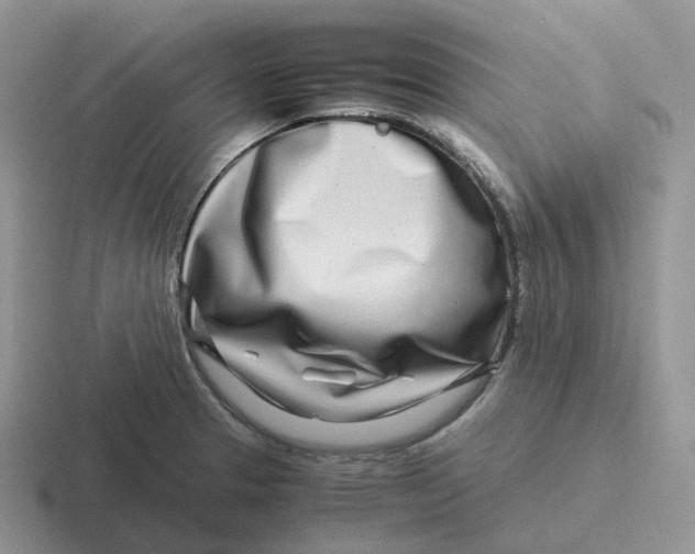 X0000116661329201001041102