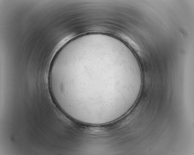 X0000116661330201001041102