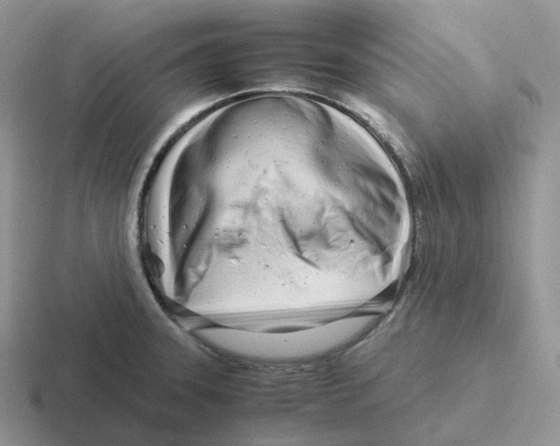 X0000116661331201001041102