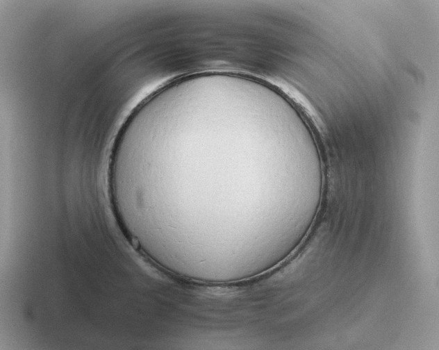 X0000116661333201001041102