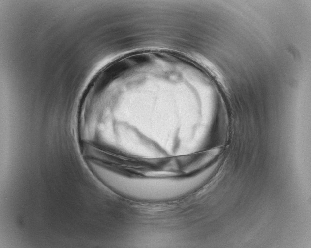 X0000116661334201001041102