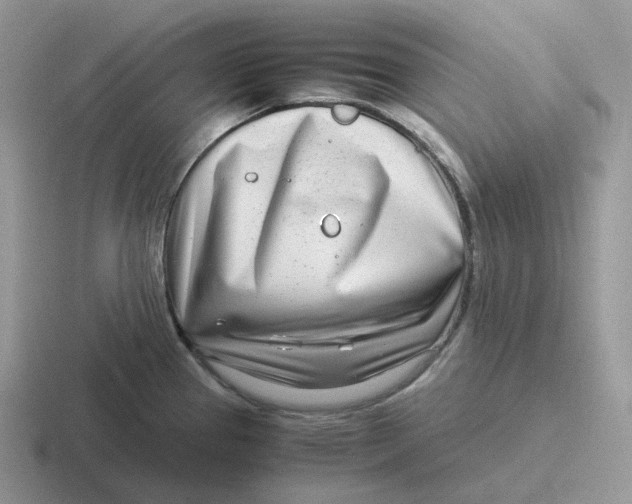 X0000116661337201001041102